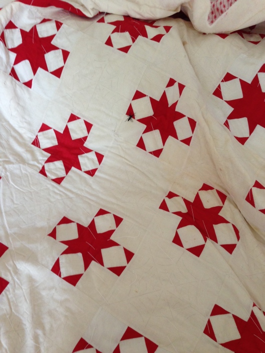 Turkey Red and White Star Quilt